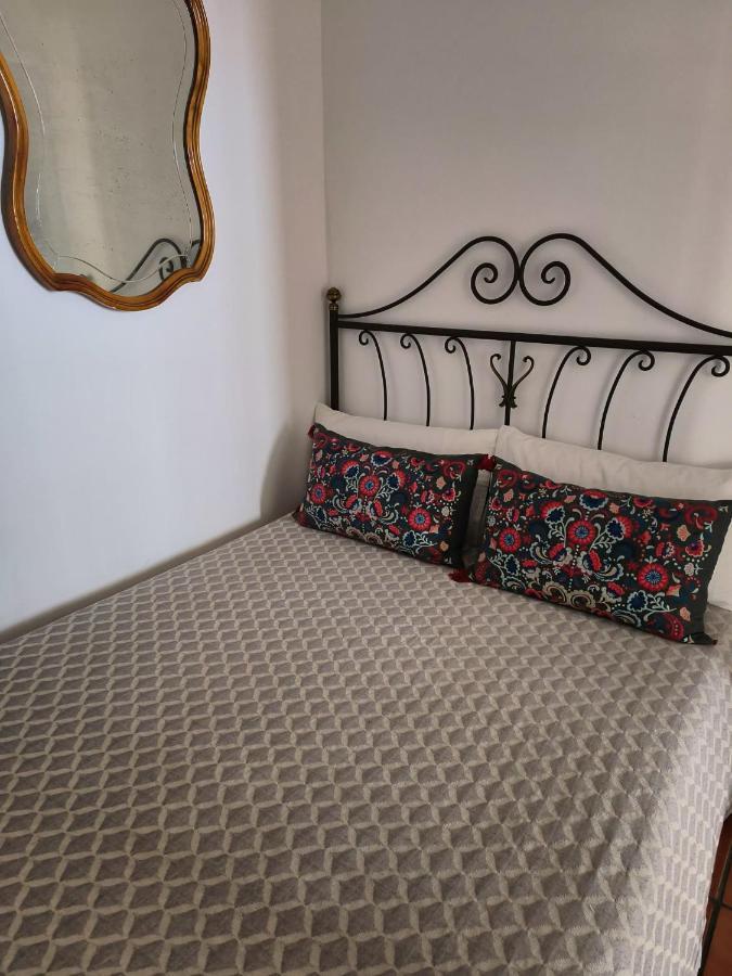 Small Room In Sants With Huge Terrace Barcelona Exteriör bild